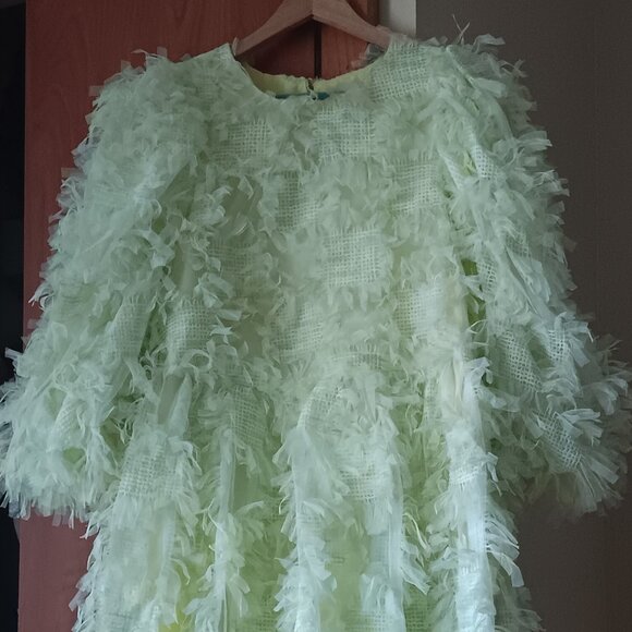 Fun & Flirty Lime Green Party Dress with Gingham and Fringe Accents - Picture 1 of 4